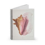 Sea Conch Shell Ruled Spiral Notebook