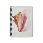 Sea Conch Shell Ruled Spiral Notebook