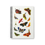 Chinese Butterfly Ruled Spiral Notebook