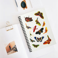 Chinese Butterfly Ruled Spiral Notebook