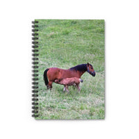 Mare and Foal Ruled Spiral Notebook