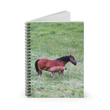 Mare and Foal Ruled Spiral Notebook