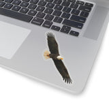 Bald Eagle Sticker