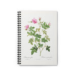 Wild Rose Rosebush Ruled Spiral Notebook