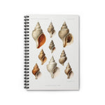 Mollusks of the Northern Sea Ruled Spiral Notebook