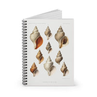 Mollusks of the Northern Sea Ruled Spiral Notebook