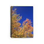 Autumn Orange and Blue Ruled Spiral Notebook