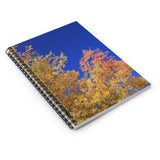 Autumn Orange and Blue Ruled Spiral Notebook