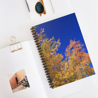 Autumn Orange and Blue Ruled Spiral Notebook